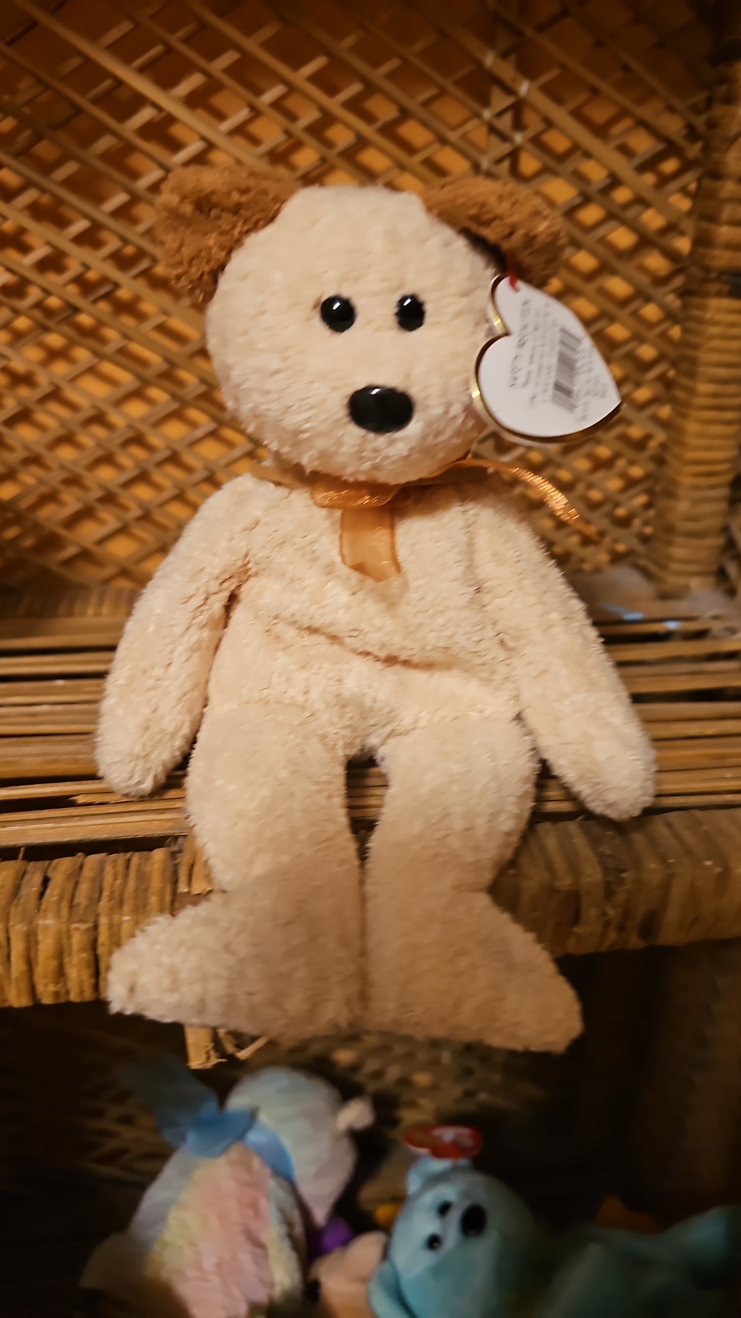 Bears