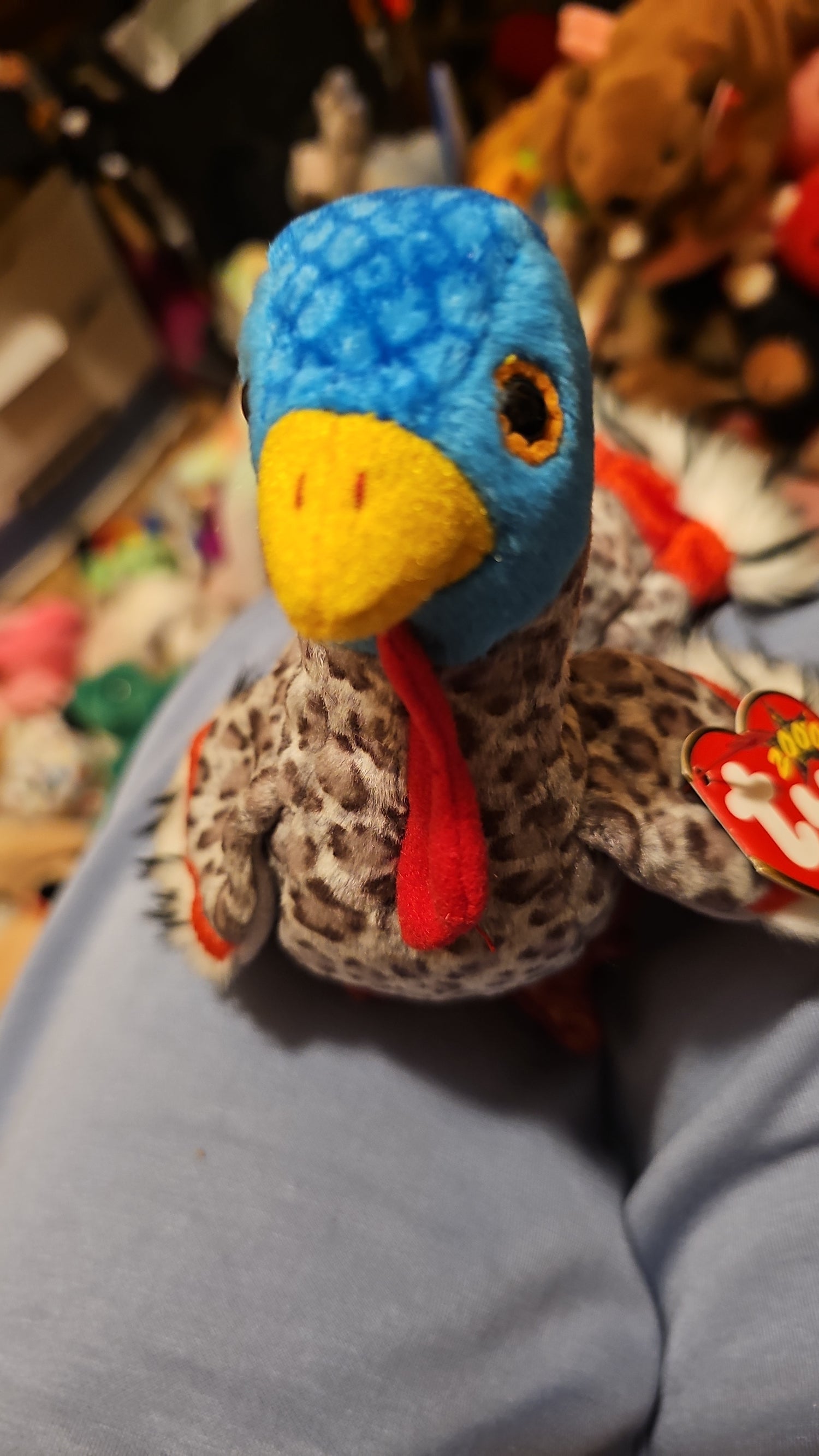 Birds