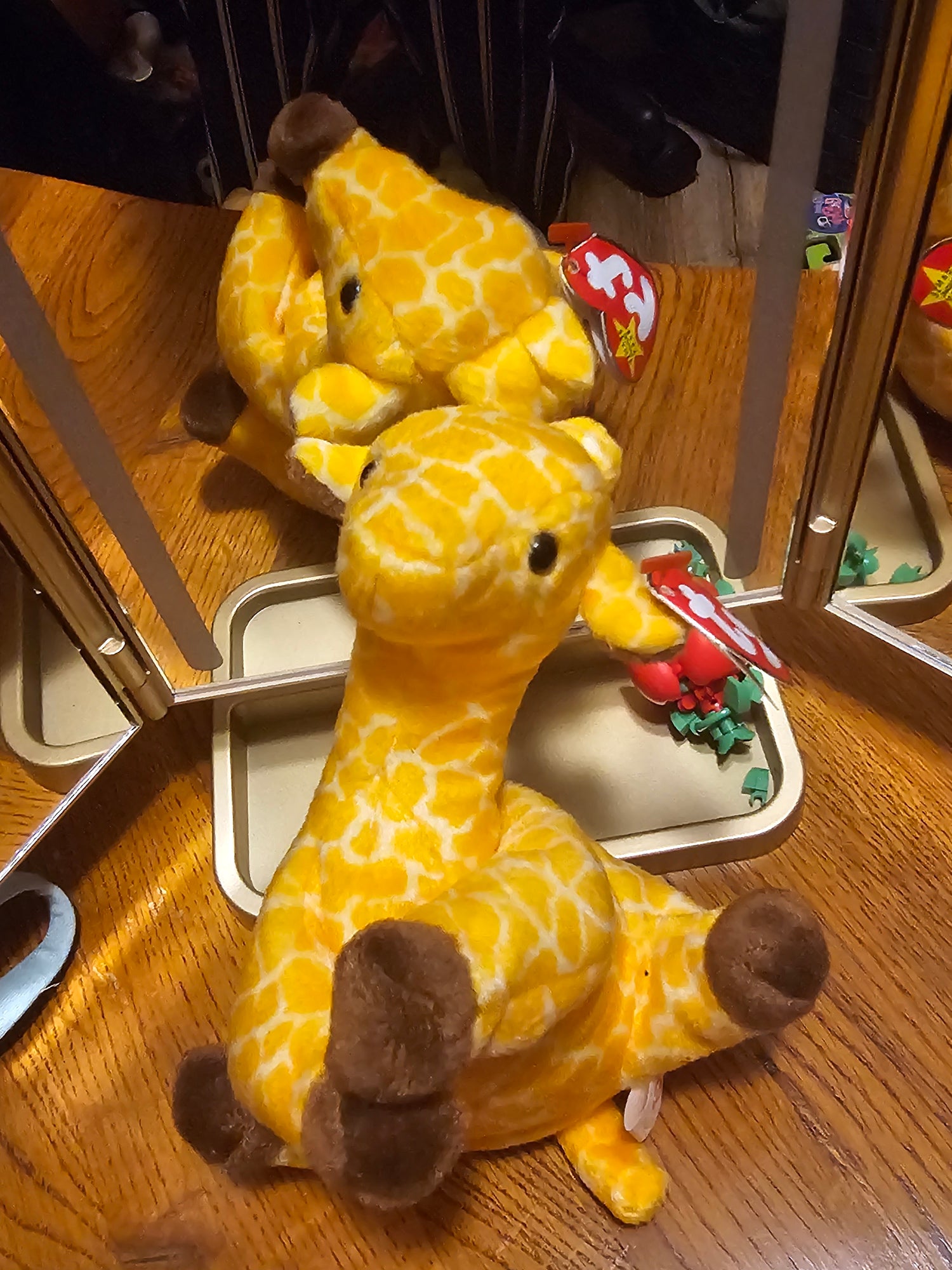 Zoo animals