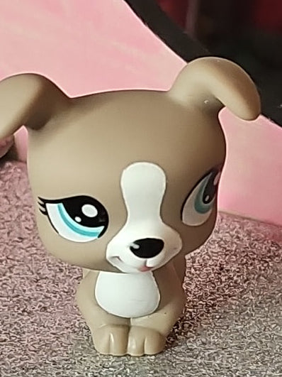 Lps BOXER DOG #1463 - Authentic