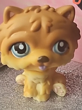 Lps Chow Chow Dog #117