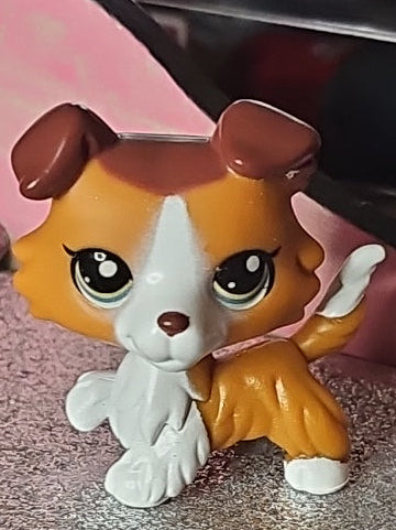 Lps G7 Collie 151