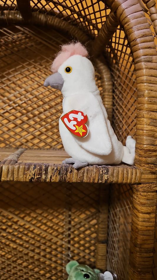 Kuku